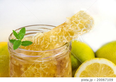Honeycomb dipper and lemon close up 20067109