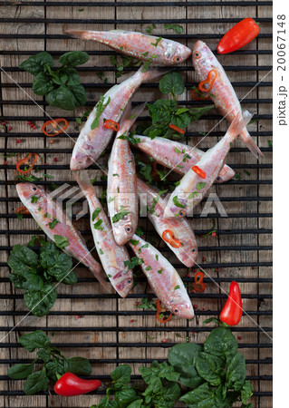 Red Mullet Prepared For Grill 20067148