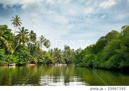 Equatorial forest and boats on the lake 20067193