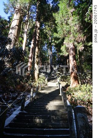 室生寺奥の院への道 室生寺奥の院への道 20067745