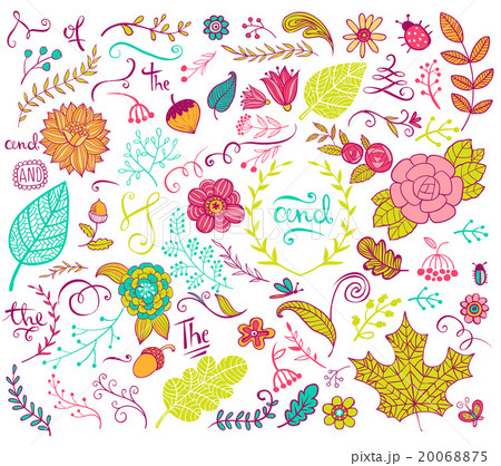 Floral design elements in doodle style 20068875