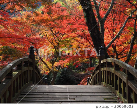 熱海梅園の紅葉 熱海梅園の紅葉 20069003
