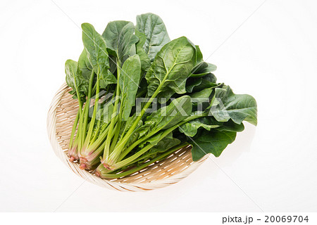 ほうれんそう 20069704