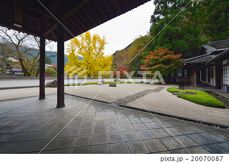 玉堂美術館庭園 20070087