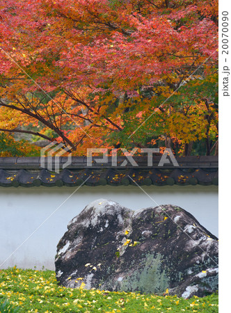 玉堂美術館庭園 20070090