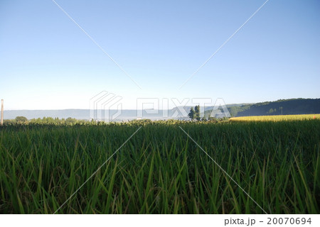阿蘇の風景 20070694