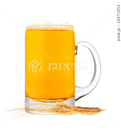 Glass of beer with grain isolated on white Glass of beer with grain isolated on white 20071053