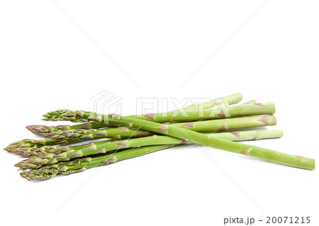 Asparagus isolated on white background. Asparagus isolated on white background. 20071215