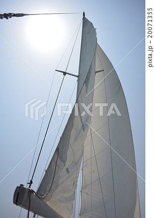 セール セール 20071355