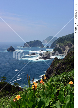 伊豆石廊崎 20071397