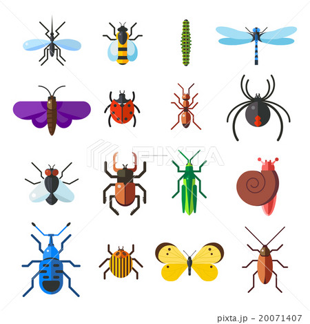 Insect icon flat set isolated on white background 20071407