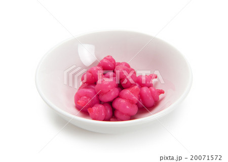 ちょろぎ ちょろぎ 20071572