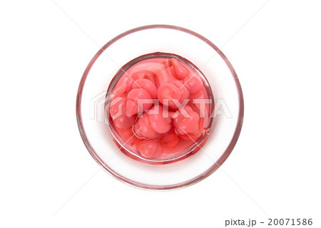 ちょろぎ ちょろぎ 20071586