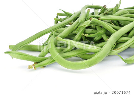 raw green bean pods 20071674