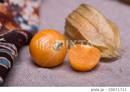 physalis on a gray 20071711