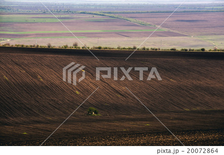 Agricultural field. Arable land in spring, ready 20072864