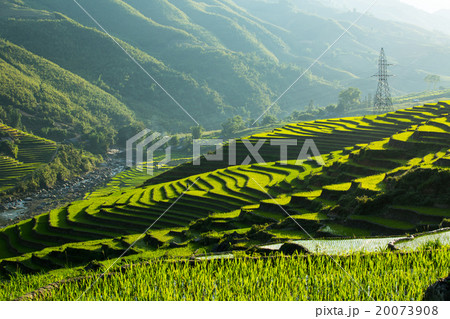 Rice Terrace 20073908