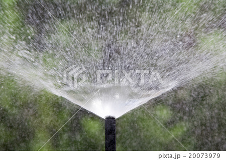 sprinkler head watering the bush and grass sprinkler head watering the bush and grass 20073979