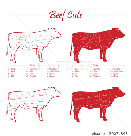 Beef cuts sheme 20074343