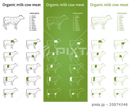 Organic milk cow cut set Organic milk cow cut set 20074346