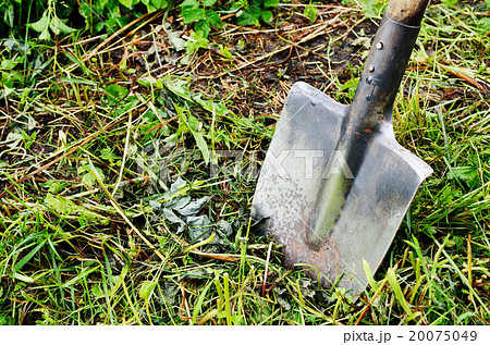 old shovel stuck in the ground old shovel stuck in the ground 20075049