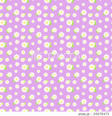 シンプルかわいい 白い小さめ花柄のシームレス 繋がる 繰り返し パターン 背景紫のイラスト素材