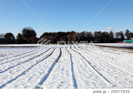 雪と畑 雪と畑 20077050