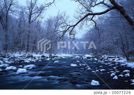 冬の奥入瀬渓流 紫明渓 冬の奥入瀬渓流 紫明渓 20077229