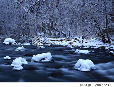 冬の奥入瀬渓流 紫明渓 冬の奥入瀬渓流 紫明渓 20077231