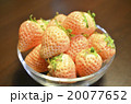 白いイチゴ 20077652