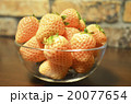 白いイチゴ 20077654