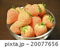 白いイチゴ 20077656