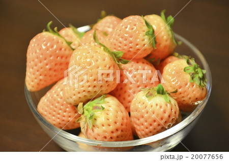 白いイチゴ 20077656