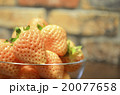 白いイチゴ 20077658