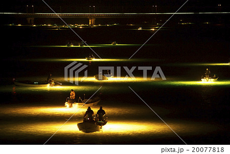 シラスウナギ漁 吉野川 シラスウナギ漁 吉野川 20077818