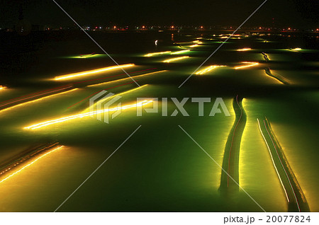 シラスウナギ漁　吉野川 20077824