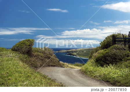 ピイラニハイウェイ、マウイ島、ハワイ-4 ピイラニハイウェイ、マウイ島、ハワイ-4 20077850
