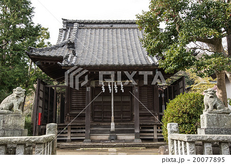 八坂大神 八坂大神 20077895