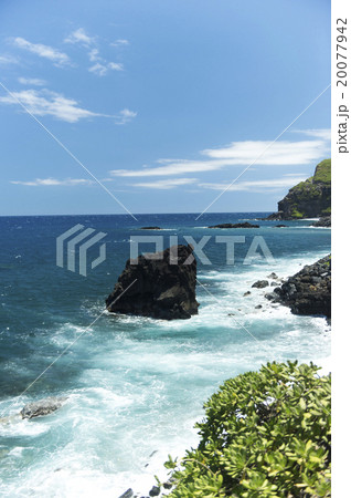 ピイラニハイウェイ、マウイ島、ハワイ-5 ピイラニハイウェイ、マウイ島、ハワイ-5 20077942