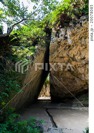 沖縄県　斎場御嶽 20078085