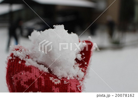 雪と私 20078162