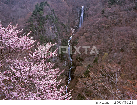 早春の八滝 早春の八滝 20078623