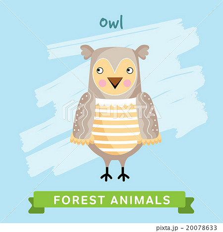 Owl Vector, forest animals.  20078633