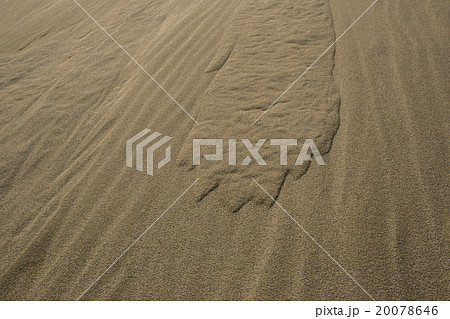 砂丘　砂簾 20078646
