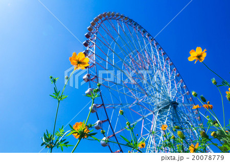 観覧車 20078779