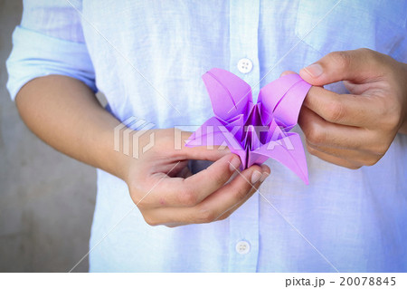 Making Origami Lilac Making Origami Lilac 20078845