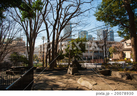 東京世田谷散歩、上野毛エリア 東京世田谷散歩、上野毛エリア 20078930