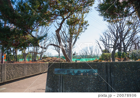 東京世田谷散歩、野毛エリア、玉川野毛町公園 東京世田谷散歩、野毛エリア、玉川野毛町公園 20078936