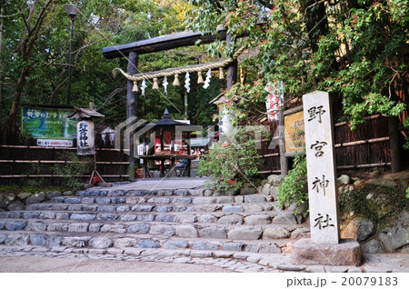 野宮神社 野宮神社 20079183