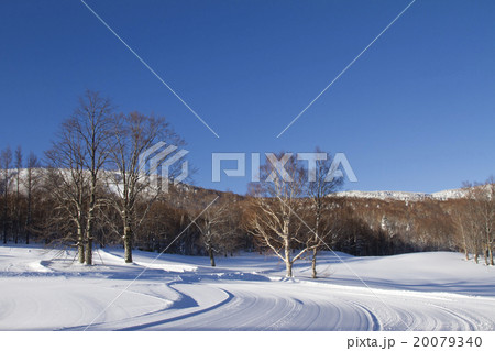 青空と雪原 20079340